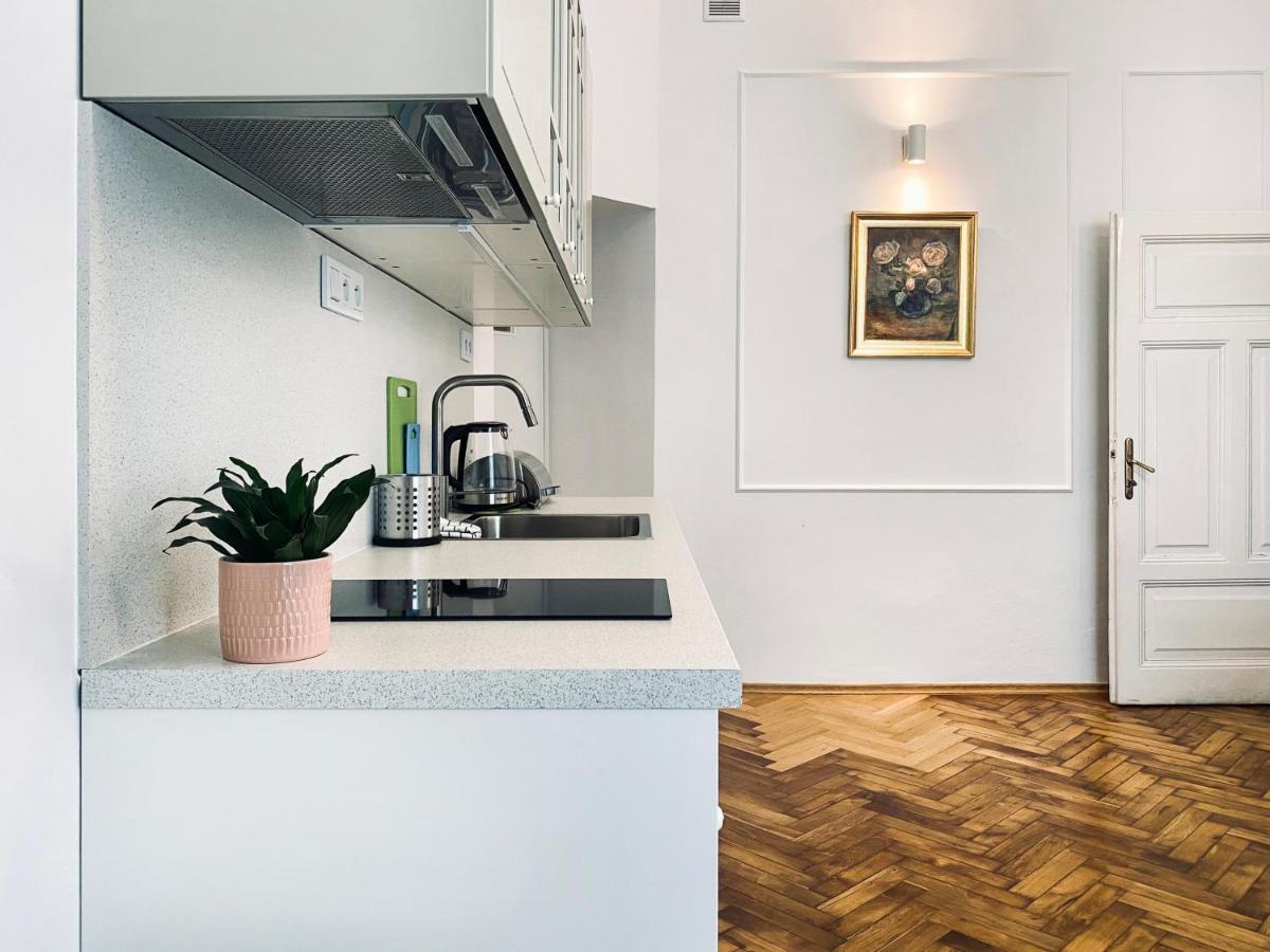 Beautiful Apartment With Two Rooms, Cracow Old Town Kraków Exteriör bild